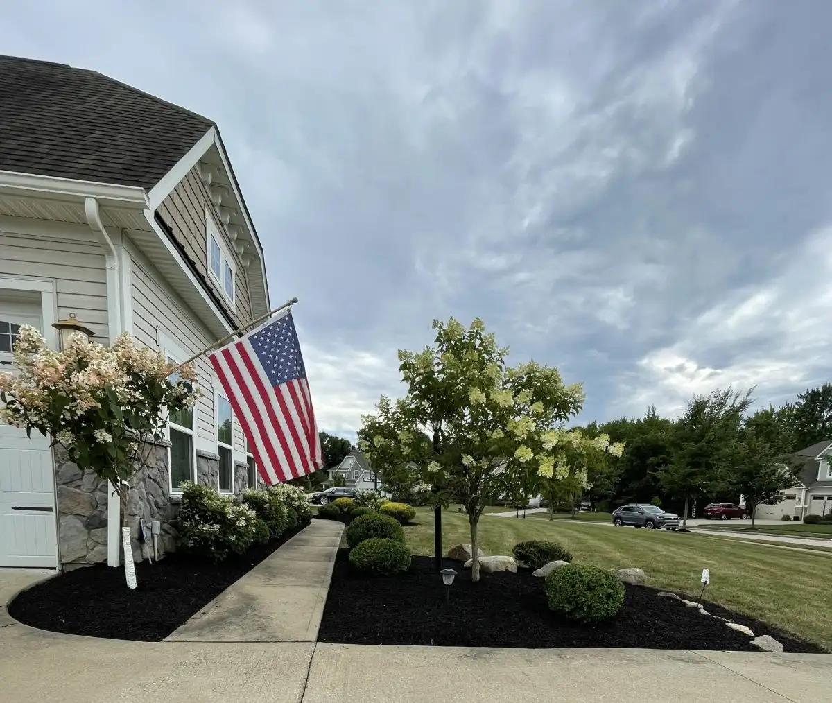 Front yard curb appeal with hydrangeas and fresh mulch