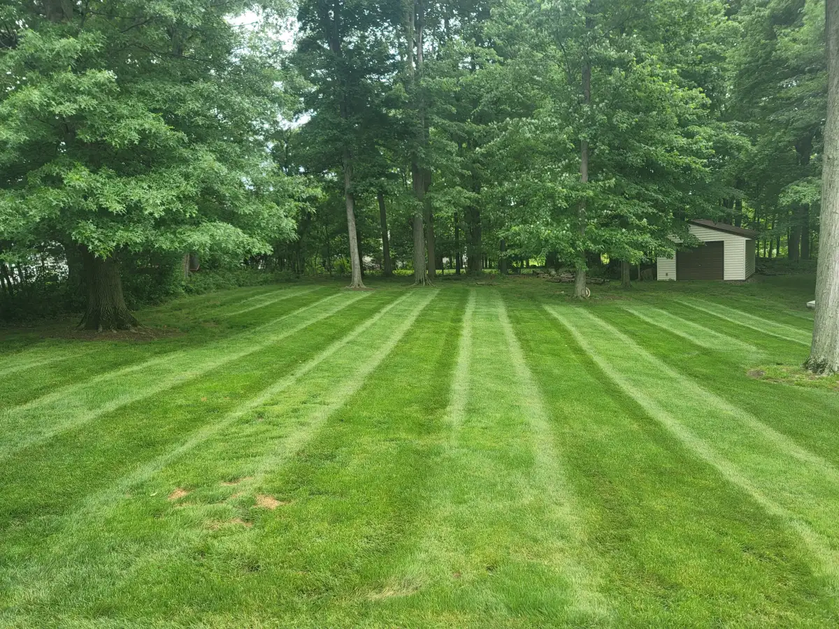 Professionally striped backyard lawn with mature trees