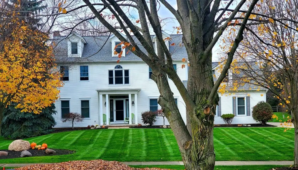 Seasonal plantings with decorative accents
