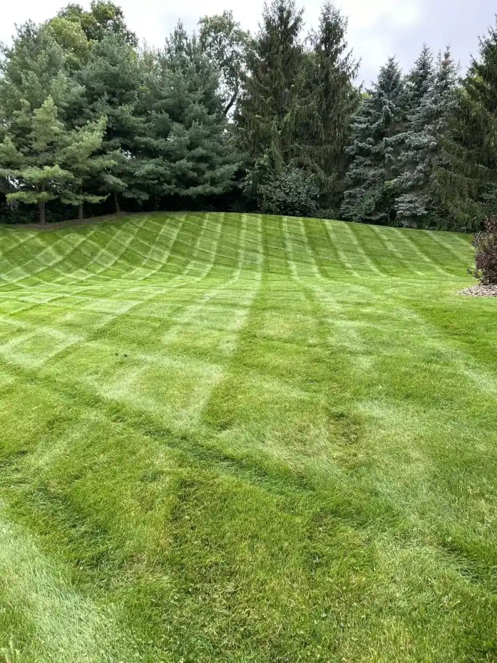 Lawn maintenance service by A.J. Kraig