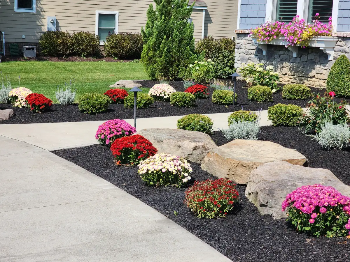 Fresh mulch and seasonal flowers in a Northeast Ohio bed