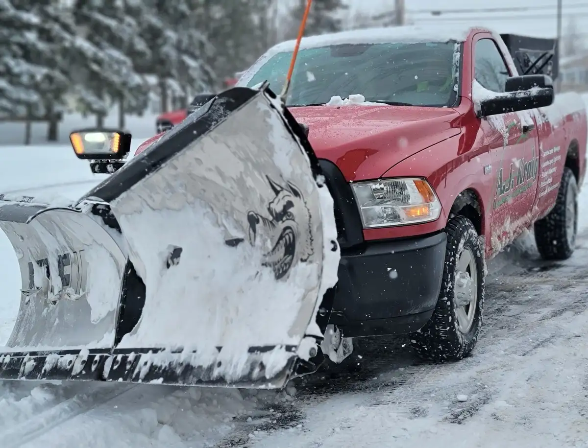 Ice management and salt application service